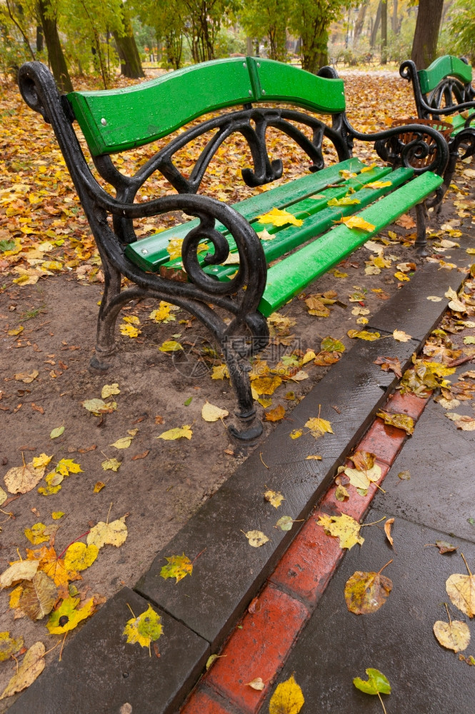 秋天公园雨Lvov公园图片