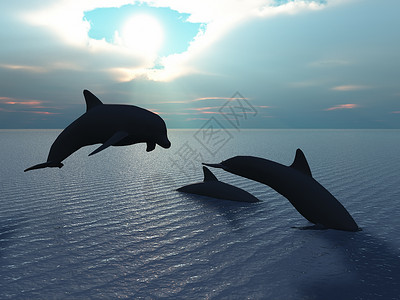 三只海豚漂浮在洋控制光高清图片