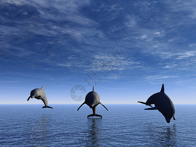 三只海豚漂浮在洋上前观高清图片