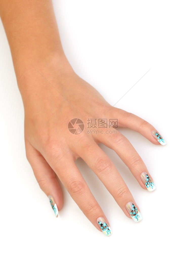 女手和指甲紧闭用蓝色鲜花画一枝在白色背景上隔绝图片