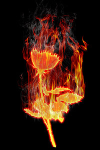 黑色背景下燃烧玫瑰的图像图片