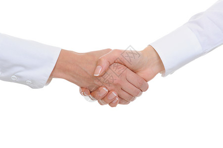 办公室中女商业伙伴的握手图片