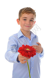 带着鲜花的可爱男孩白种背景的孤立男孩图片