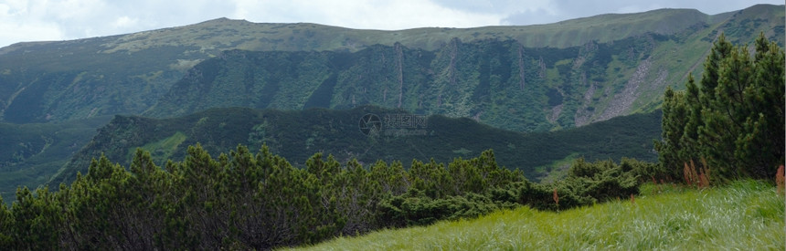 山景与Juniper森林和岩石悬崖相距遥远日落三针缝合图像图片