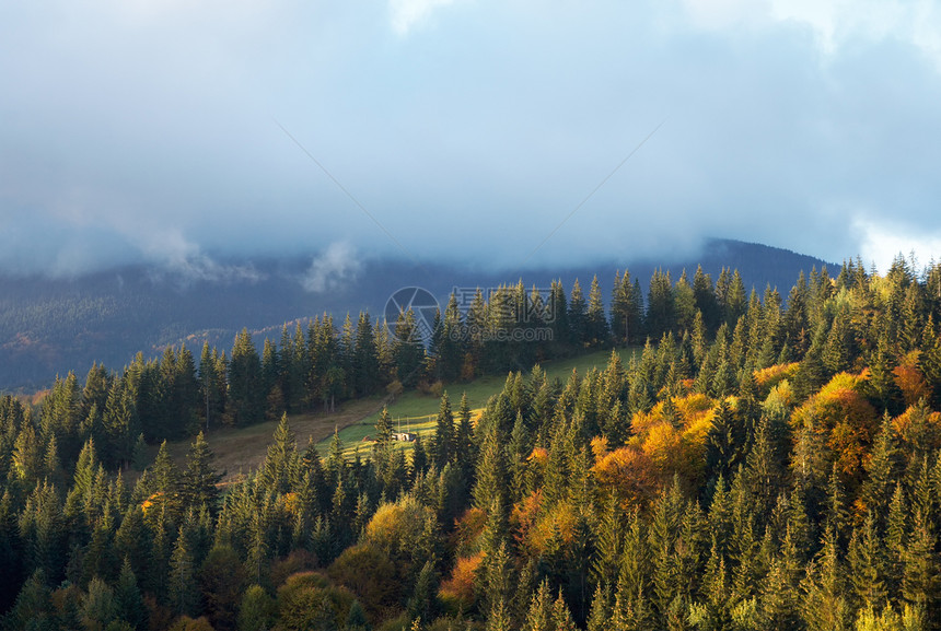 乌克兰喀尔巴阡山的秋天图片