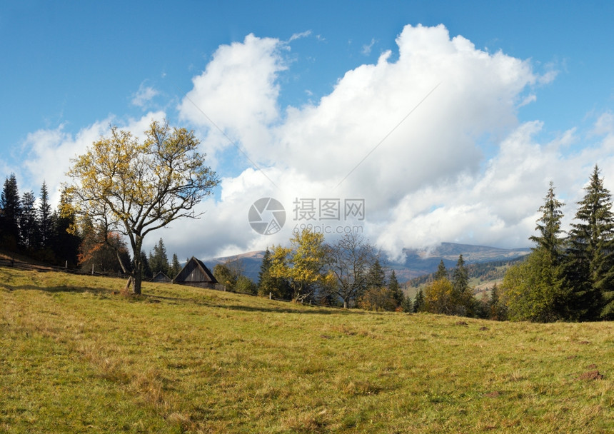 靠近喀尔巴阡山郊区乌克兰喀尔巴阡山的村郊区图片