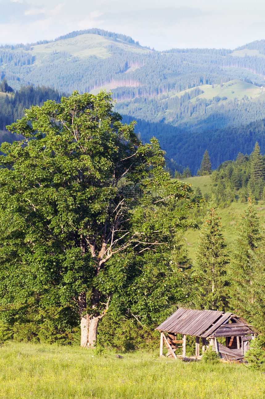 夏季山景大树和绿草地上的木棚图片