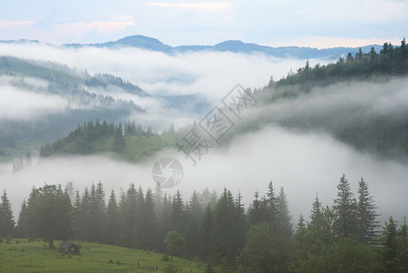 夏季山的浓雾图片