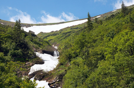 在夏天的山坡上解冻其余的雪图片