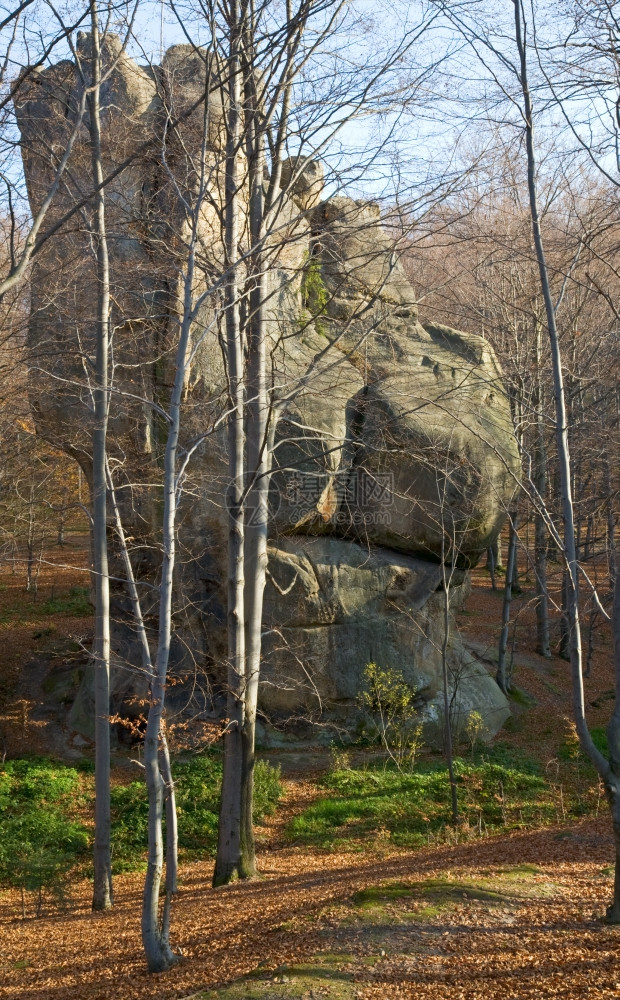 秋天森林SkeliDovbusha伊万诺弗兰科夫斯克地区图片