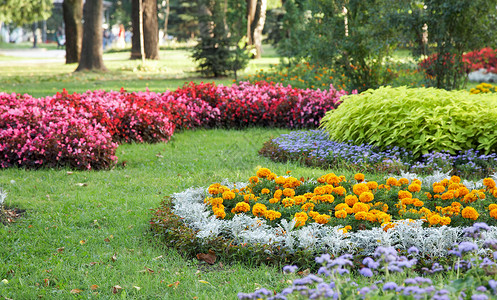 夏季城市公园的花朵棚图片