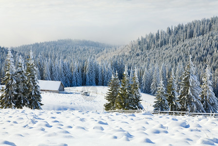 寒冬平静的山地景观森林附近有地和雪覆盖着树木林图片