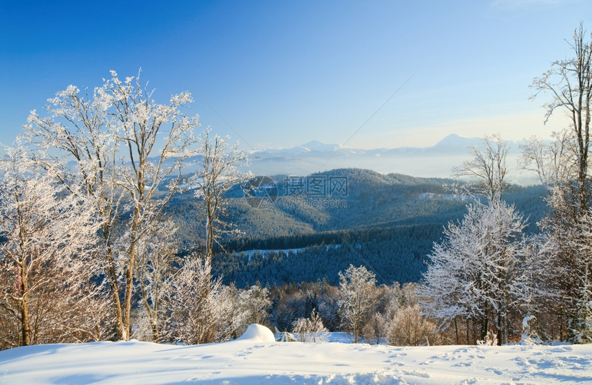 寒冬平静的山地风景前面的树木有黑雪覆盖着山地和图片
