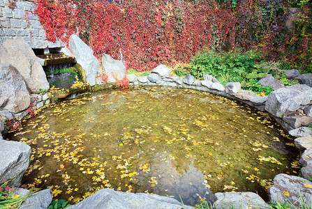 秋季公园中黄叶和小瀑布的池塘水面图片