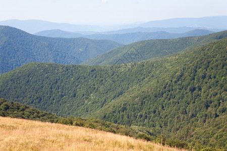 山坡上绿林乌克兰喀尔巴阡山图片