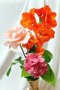 美丽的唐菖蒲绣球花和玫瑰夏季花束在白布背景高清图片