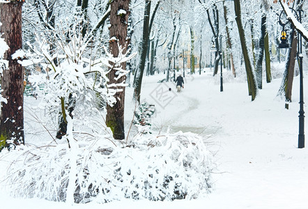冬季城市公园的雪树和老年妇女日落图片