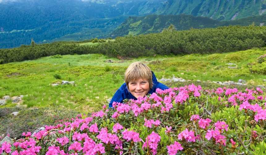 夏季山坡乌克兰喀尔巴阡山的平粉红多德伦花朵和快乐的年轻女子图片