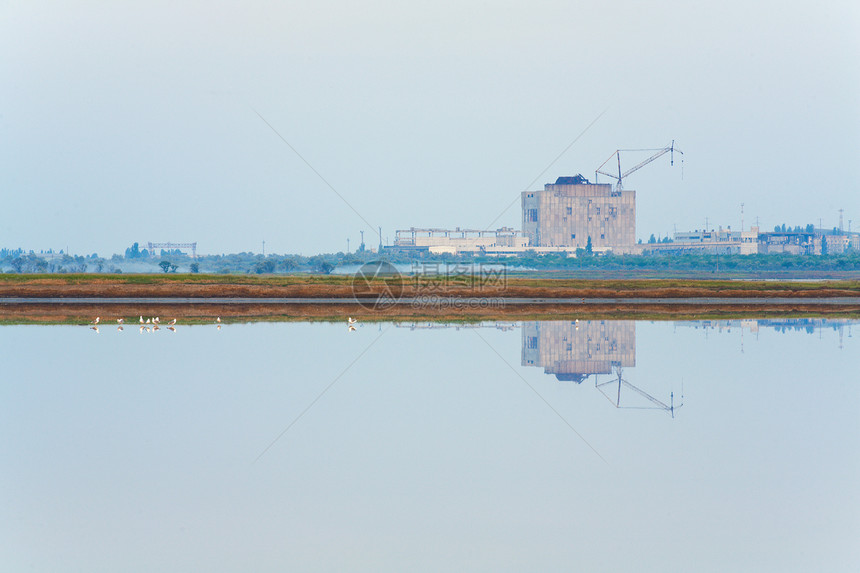 核电厂和海鸥群靠近Scholkino镇克里米亚乌兰图片