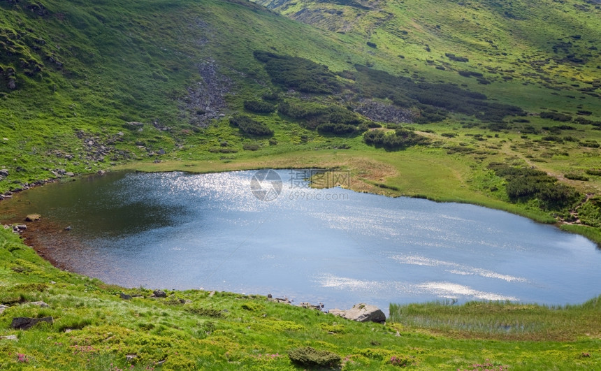 阿尔卑斯山湖Nesamovyte表面乌克兰夏山Chornogora海脊喀尔巴阡山的阳光片段图片
