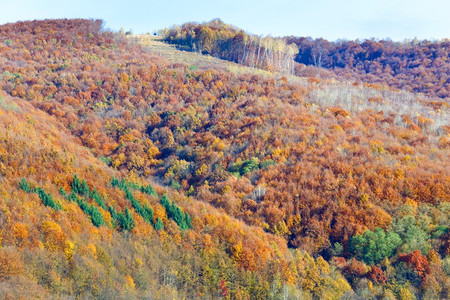 阳光多彩的秋天山林边图片