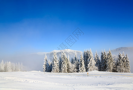 冬季寒冷平静的山地景观和乌克兰Bukovel滑雪胜地图片