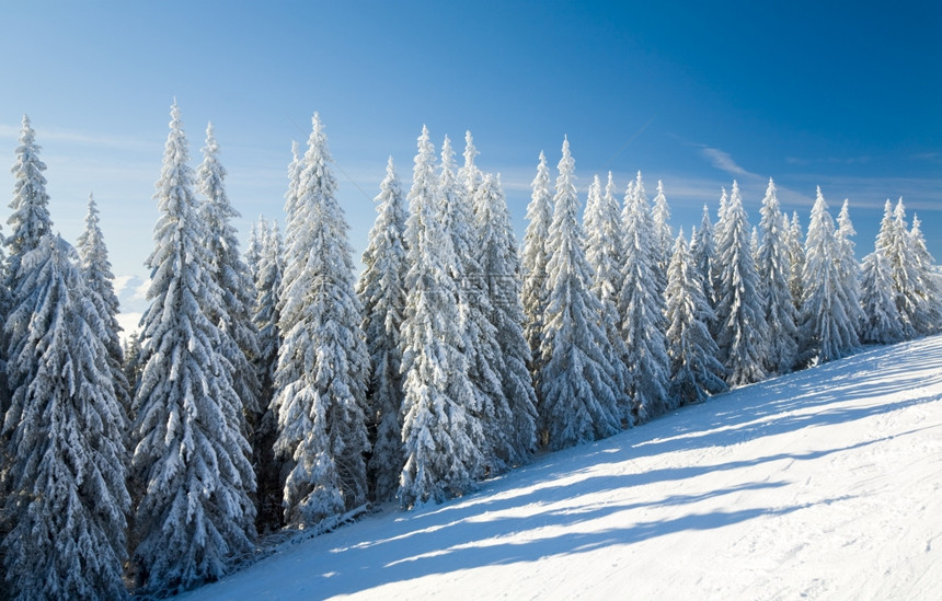 寒冬平静的山地景观风和雪覆盖的采树图片