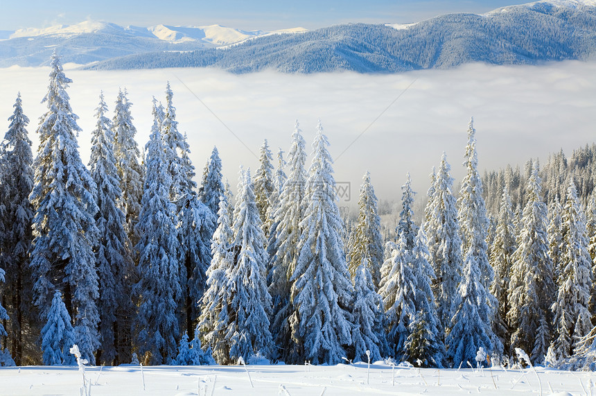 冬季平静的山地风景有些雪覆盖在前端从Bukovel滑雪胜地乌克兰到Svydovets山脊图片