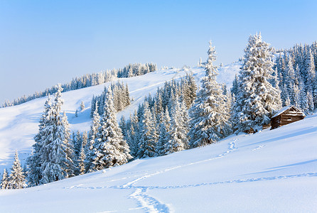 白霜初寒冬季寒平静的山林景观Kukol山喀尔巴阡乌克兰喀尔巴阡山背景