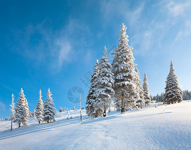 山上边蓝天空背景的风雪覆盖了山边的林背景图片