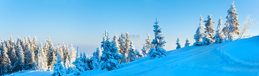 清晨冬季平静的山地风景坡上有木头喀尔巴阡山乌克兰三针缝合图象图片