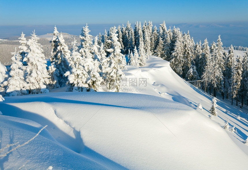 山边喀尔巴阡乌克兰边的林木被雪覆盖喀尔巴阡山图片
