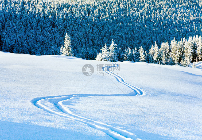 雪地表面和冬山林的滑雪痕迹图片