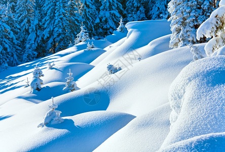 冬季雪上的漂覆盖山边顶有林树木图片