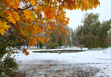 城市公园第一次秋天突然下雪图片