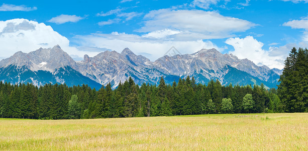 阿尔卑斯山草原上夏季宁静的景色全景图片