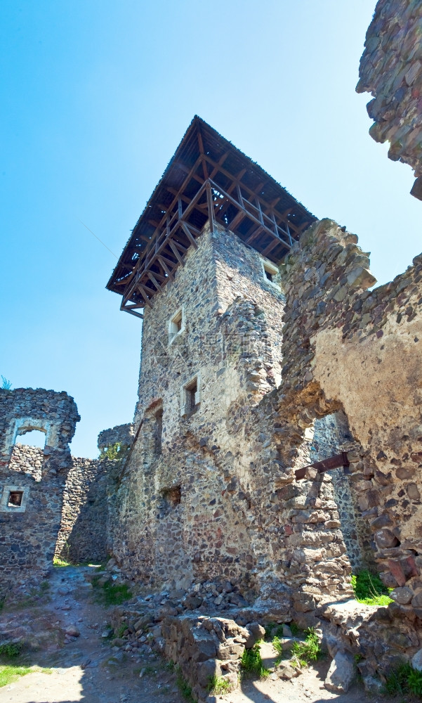 Nevytsky城堡废墟夏季景色Kamyanitsa村乌日霍罗德以北12公里扎卡尔帕蒂亚州乌克兰建于13世纪图片