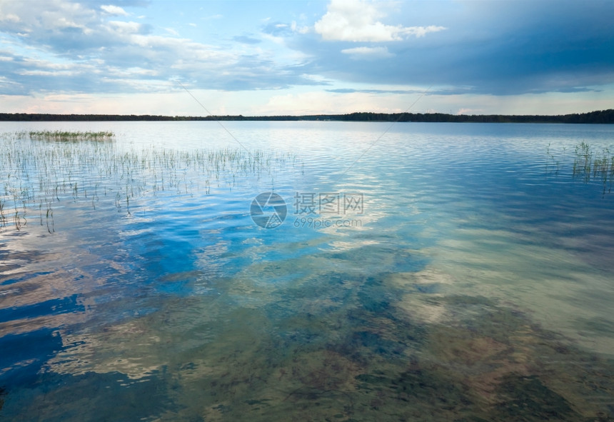 与水面上一些植物的夏季快速湖风景图片