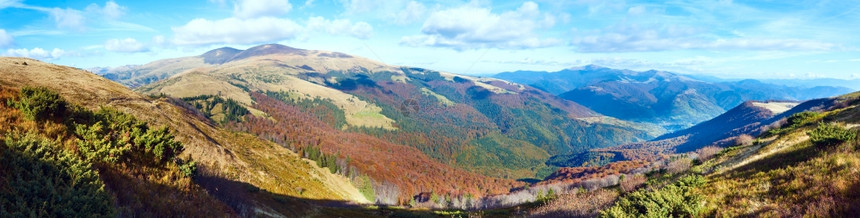 清晨秋色的山峰全景CarpathianMtUkraine四针缝合图像图片