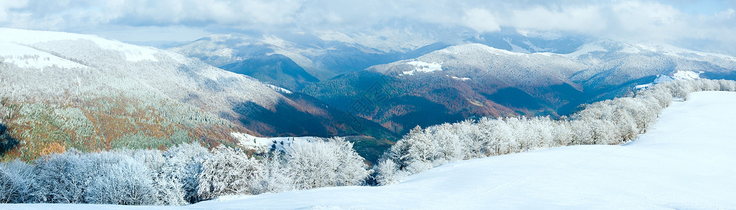 十月山尖森林边缘第一次冬季雪去年秋天山边有色花朵三针缝合图象背景图片