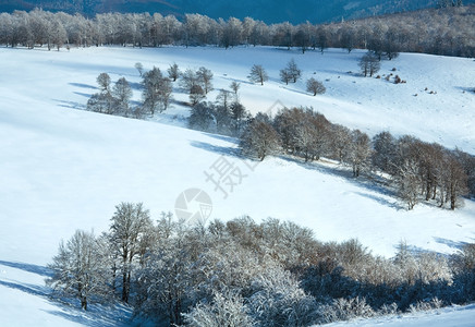 十月山脚尖林边丘第一个冬天下雪背景图片