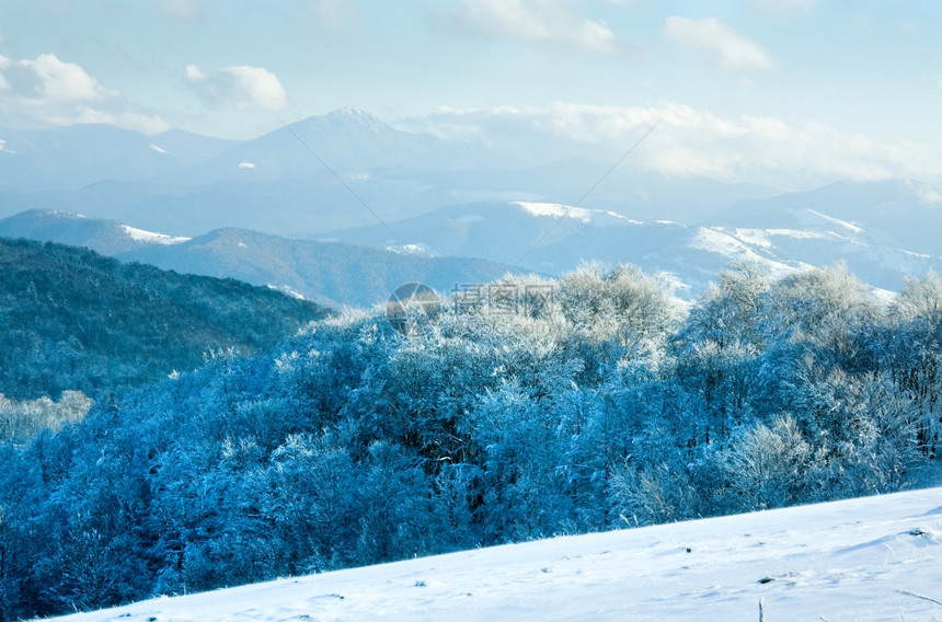 第一个冬天的雪和秋山峰蜂森林图片