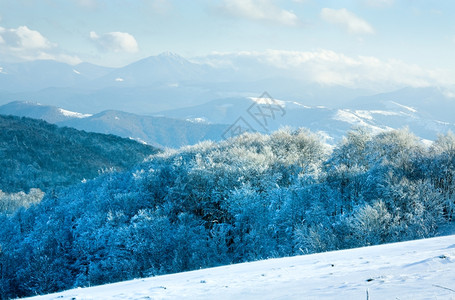 第一个冬天的雪和秋山峰蜂森林图片