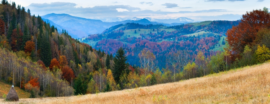 清晨的秋雾山峰全景和前面的干草堆CarpathianMtUkraine两针缝合图像图片