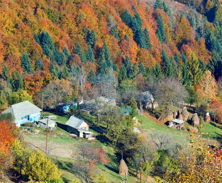 秋山尼姆奇赫口喀尔巴阡乌克兰多彩森林和山上的庄园图片