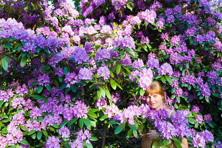 露出花丛的女人带着粉红色的花朵夏天风景图片