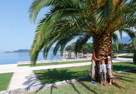 海边公园和棕榈树图片