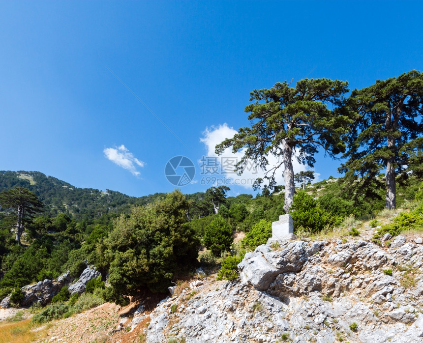 山边有松树的SummerLlogara通视阿尔巴尼亚图片