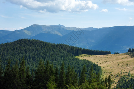 山坡上有森林的夏季薄雾山地景观喀尔巴阡山乌克兰图片