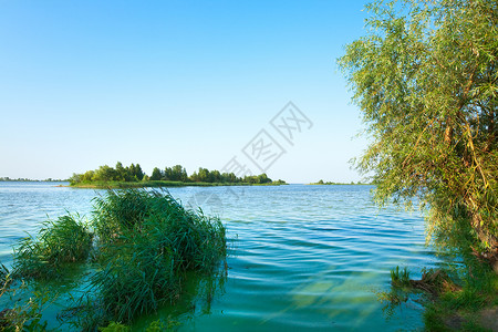 在对岸与小林的夏季匆湖风景背景图片